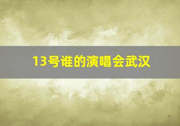 13号谁的演唱会武汉