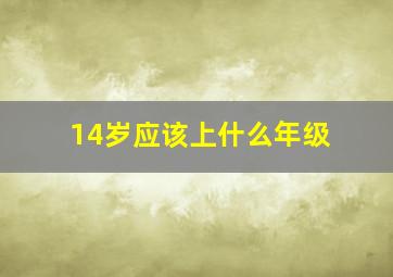 14岁应该上什么年级