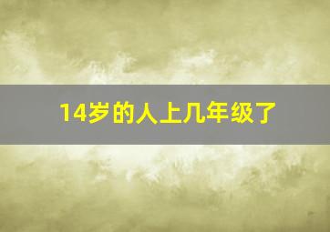 14岁的人上几年级了