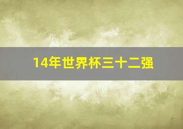 14年世界杯三十二强