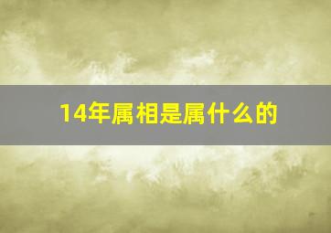 14年属相是属什么的