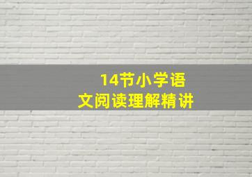 14节小学语文阅读理解精讲