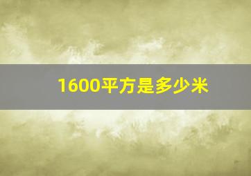 1600平方是多少米