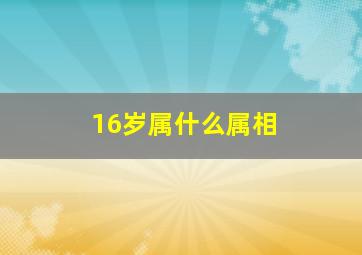 16岁属什么属相