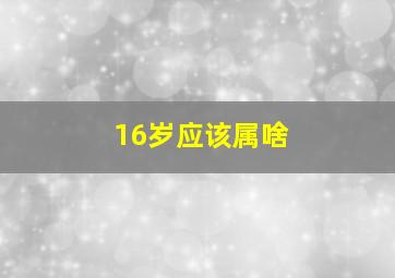 16岁应该属啥