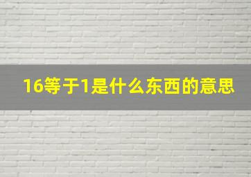 16等于1是什么东西的意思