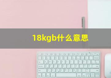 18kgb什么意思