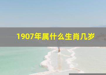 1907年属什么生肖几岁