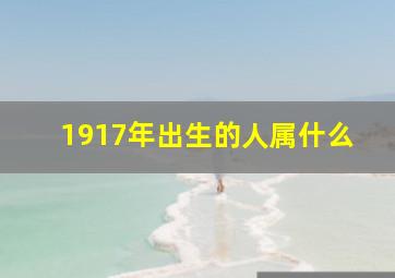 1917年出生的人属什么