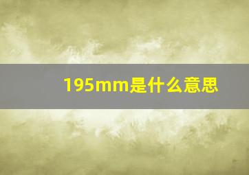 195mm是什么意思