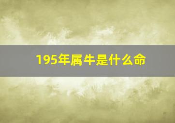 195年属牛是什么命