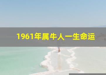 1961年属牛人一生命运