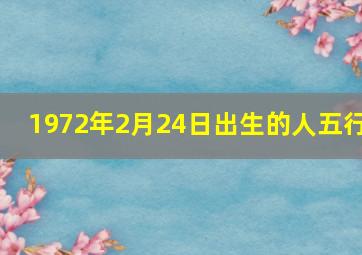 1972年2月24日出生的人五行