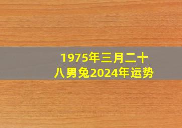 1975年三月二十八男兔2024年运势