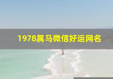 1978属马微信好运网名