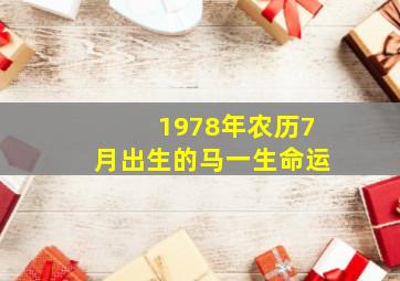 1978年农历7月出生的马一生命运