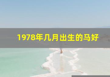 1978年几月出生的马好