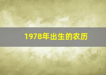 1978年出生的农历