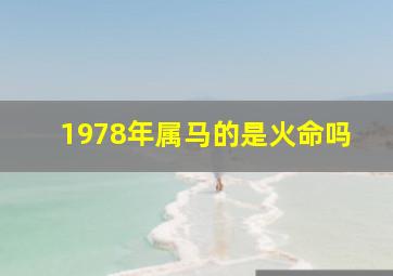 1978年属马的是火命吗