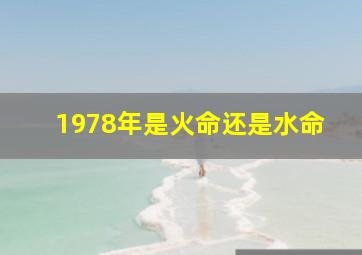 1978年是火命还是水命