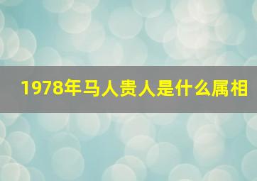 1978年马人贵人是什么属相