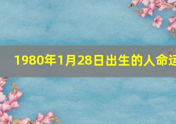 1980年1月28日出生的人命运