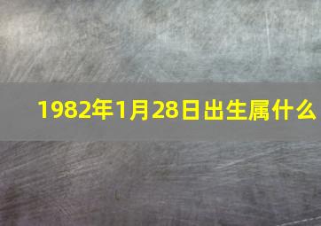 1982年1月28日出生属什么