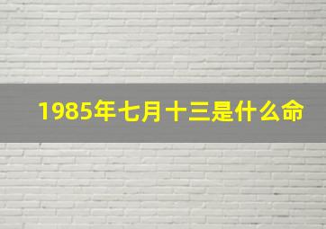 1985年七月十三是什么命