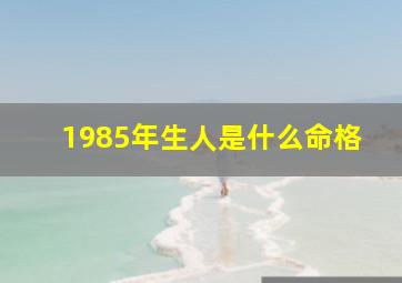 1985年生人是什么命格