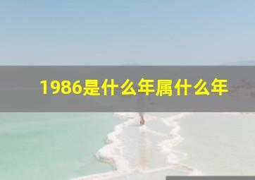 1986是什么年属什么年