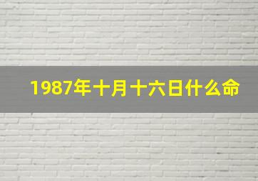 1987年十月十六日什么命