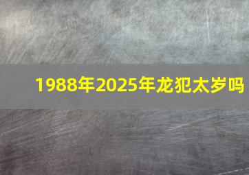 1988年2025年龙犯太岁吗