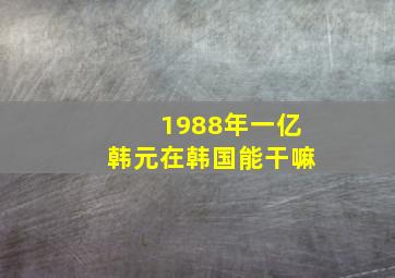 1988年一亿韩元在韩国能干嘛