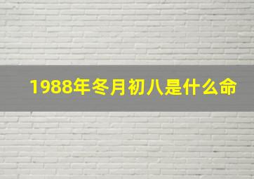 1988年冬月初八是什么命