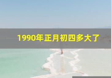 1990年正月初四多大了