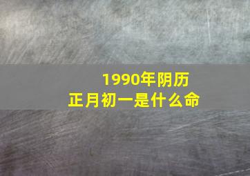 1990年阴历正月初一是什么命