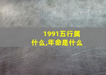 1991五行属什么,年命是什么