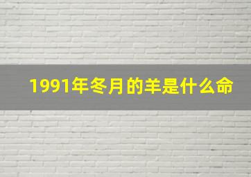 1991年冬月的羊是什么命