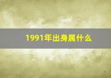 1991年出身属什么