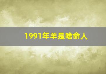 1991年羊是啥命人