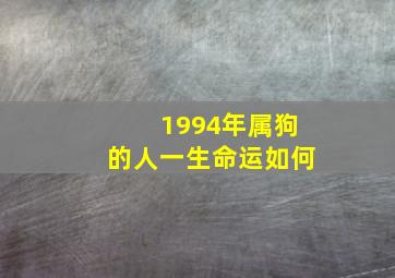 1994年属狗的人一生命运如何