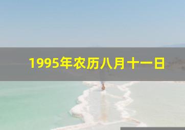 1995年农历八月十一日