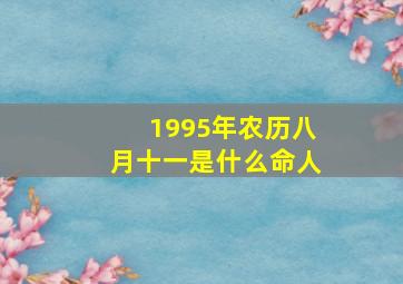 1995年农历八月十一是什么命人