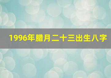 1996年腊月二十三出生八字