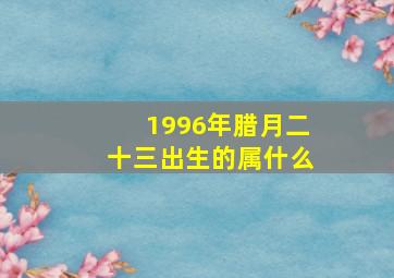 1996年腊月二十三出生的属什么