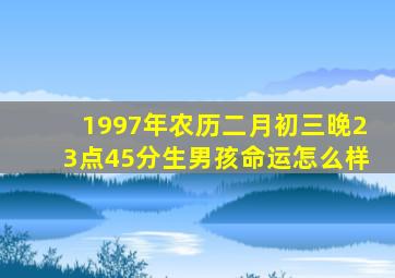 1997年农历二月初三晚23点45分生男孩命运怎么样