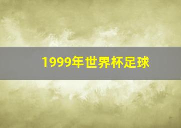 1999年世界杯足球