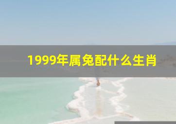 1999年属兔配什么生肖