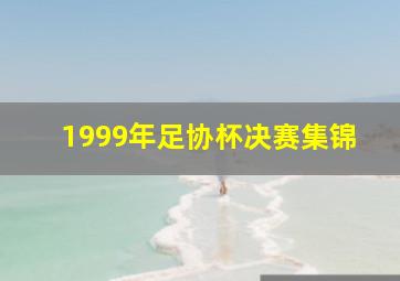 1999年足协杯决赛集锦