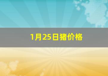 1月25日猪价格